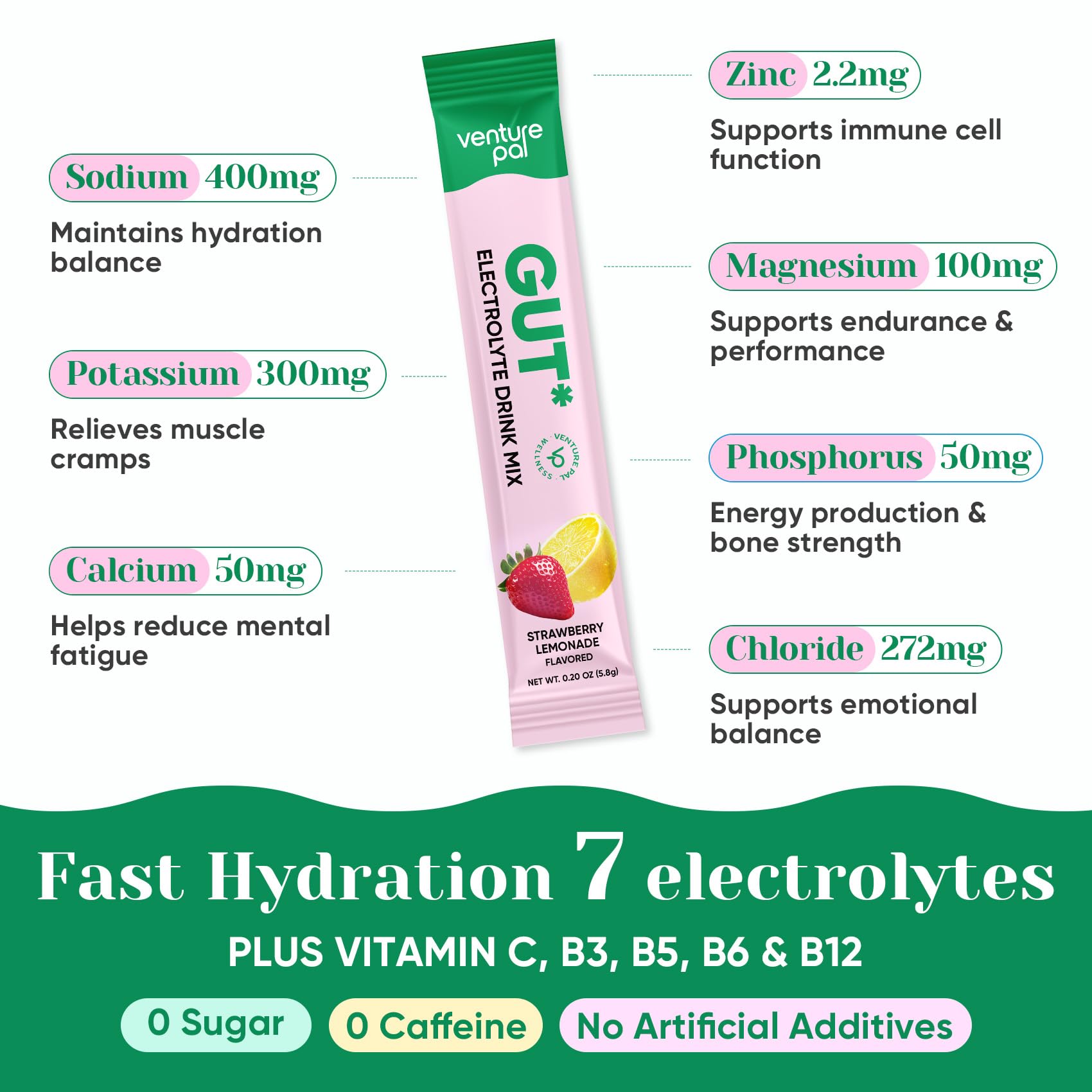 Venture Pal 2-in-1 Hydration Packets + Gut Health Electrolytes Powder - 7 Electrolytes & 5 Vitamins, Probiotics - Sugar Free Liquid Daily IV Drink Mix for Dehydration Relief | Non-GMO | 16 Sticks