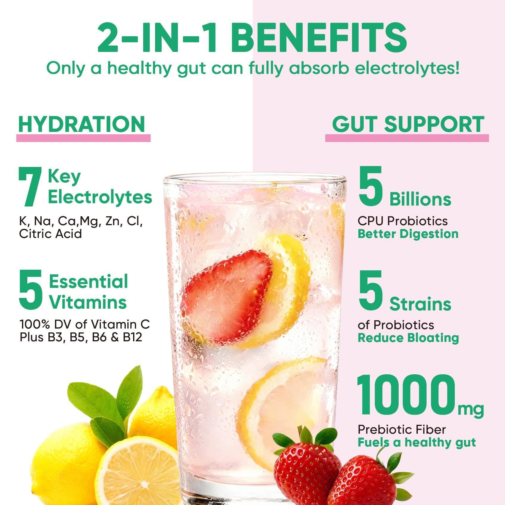 Venture Pal 2-in-1 Hydration Packets + Gut Health Electrolytes Powder - 7 Electrolytes & 5 Vitamins, Probiotics - Sugar Free Liquid Daily IV Drink Mix for Dehydration Relief | Non-GMO | 16 Sticks