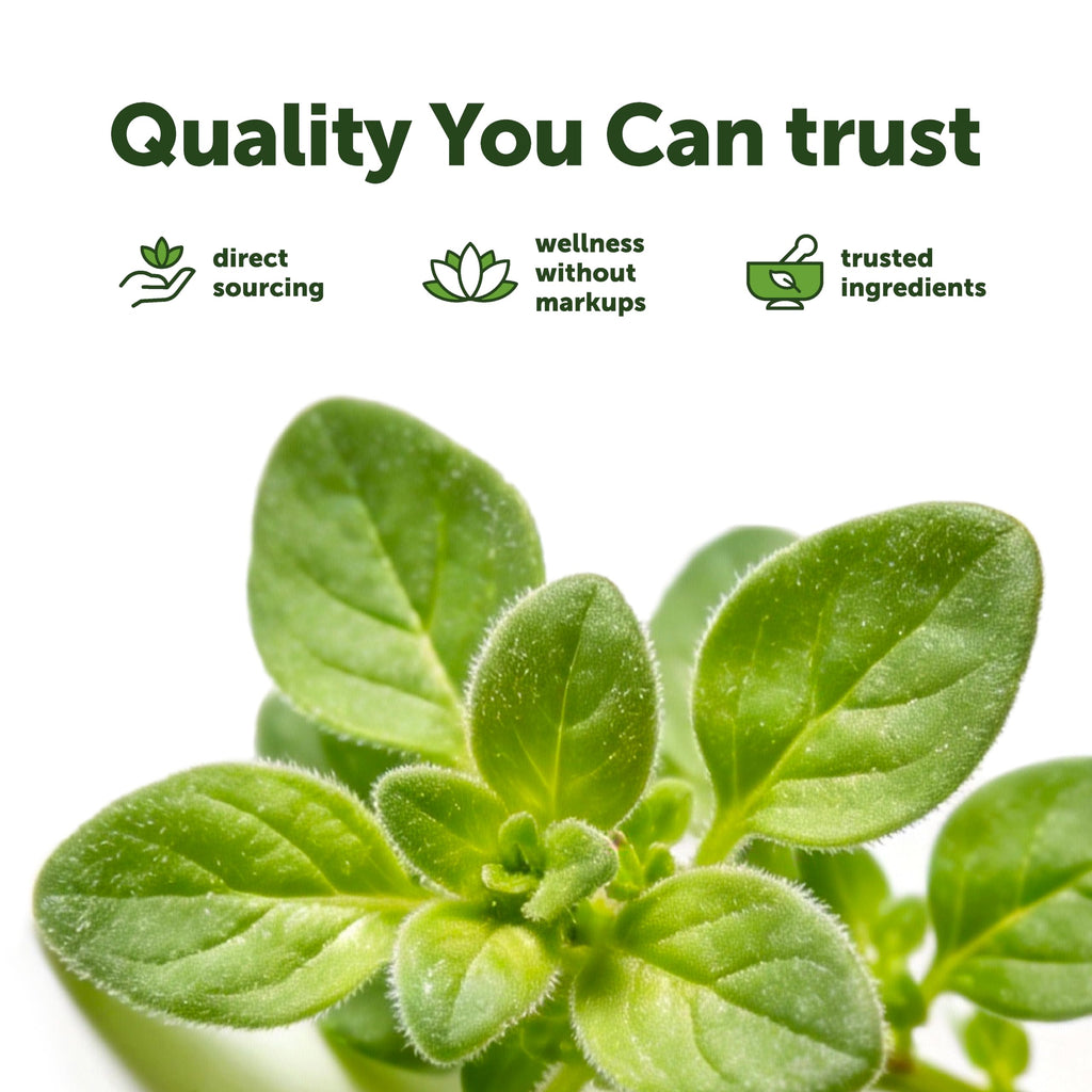 Micro Ingredients Oil of Oregano Softgels Per Serving | 2 in 1 Formulated with Black Seed Oil, 4X Strength Carvacrol & Thymoquinone | Plant Based, Non-GMO & Immune Support*