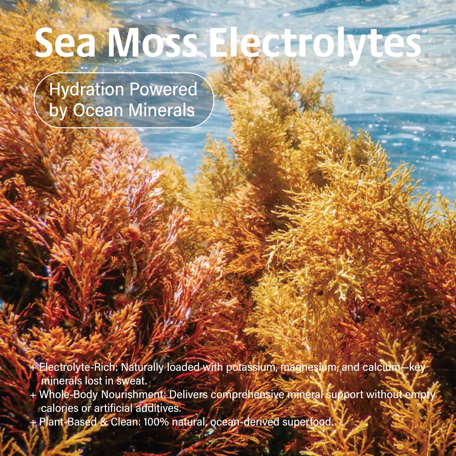 Electrolytes Powder Packets